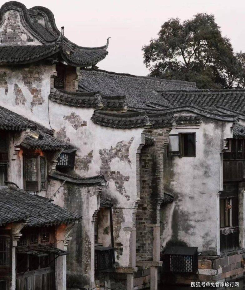 解救金刚鹦鹉